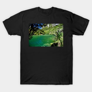 Nouvelle Zélande - Punakaiki, paysage T-Shirt